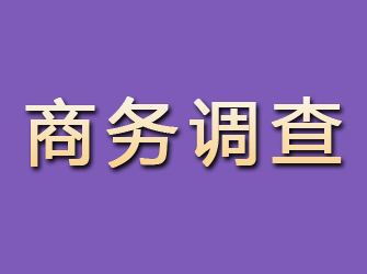 韩城商务调查